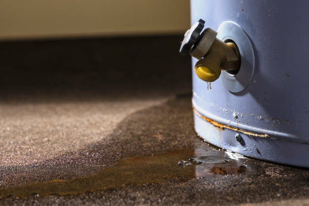 Best Flood restoration services  in Breckenridge, TX