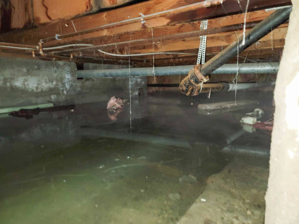 Best Local water damage restoration  in Breckenridge, TX