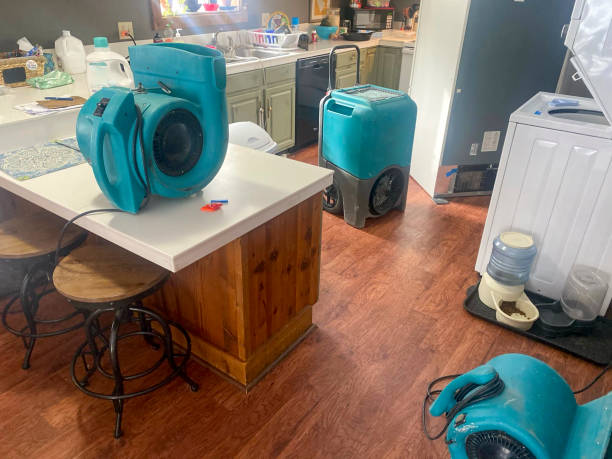 Best Ceiling water damage repair  in Breckenridge, TX