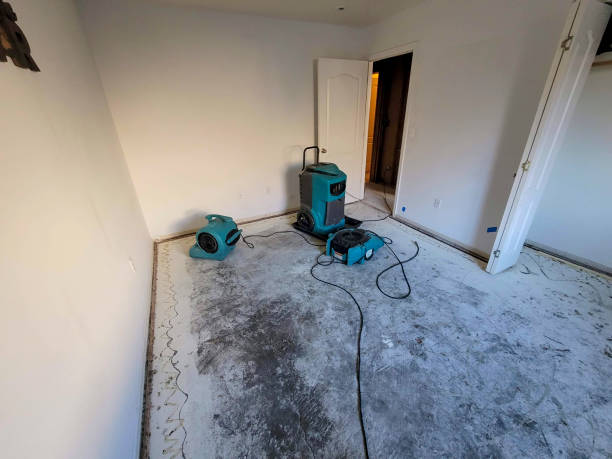 Best Carpet water damage restoration  in Breckenridge, TX