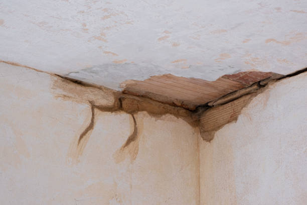 Best Mold removal after water damage  in Breckenridge, TX