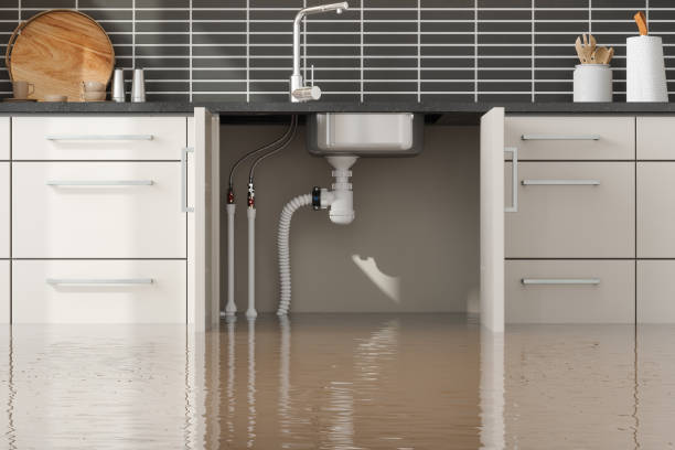 Water damage restoration mold remediation in TX