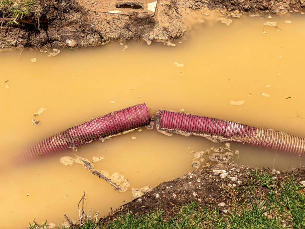 Best Commercial water damage restoration  in Breckenridge, TX
